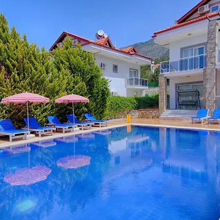 Oludeniz Ovacikta 5 Yatak Odali, 12 Kisilik , Mustakil Havuzlu 3